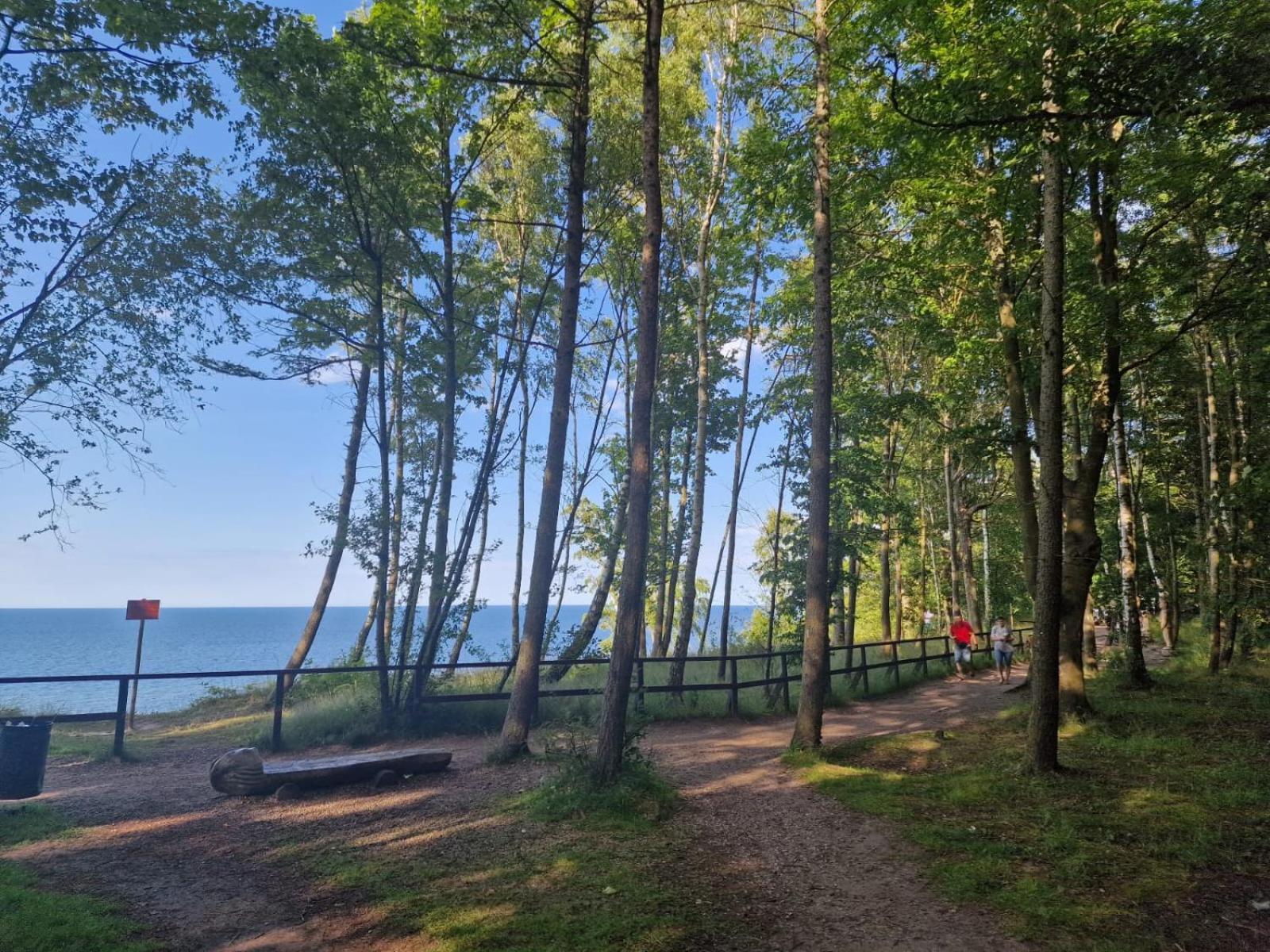 Osrodek Promenada- Faleza Jastrzębia Góra Dış mekan fotoğraf