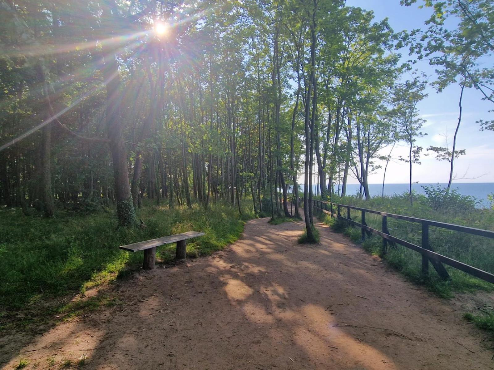 Osrodek Promenada- Faleza Jastrzębia Góra Dış mekan fotoğraf